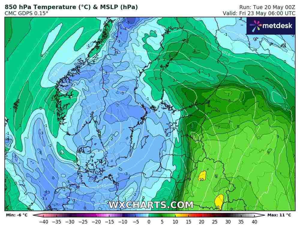Silny mróz uszkodzi rośliny w środkowo zachodniej Europie w maju 2025. Temperatura spadnie do -5 st. C.