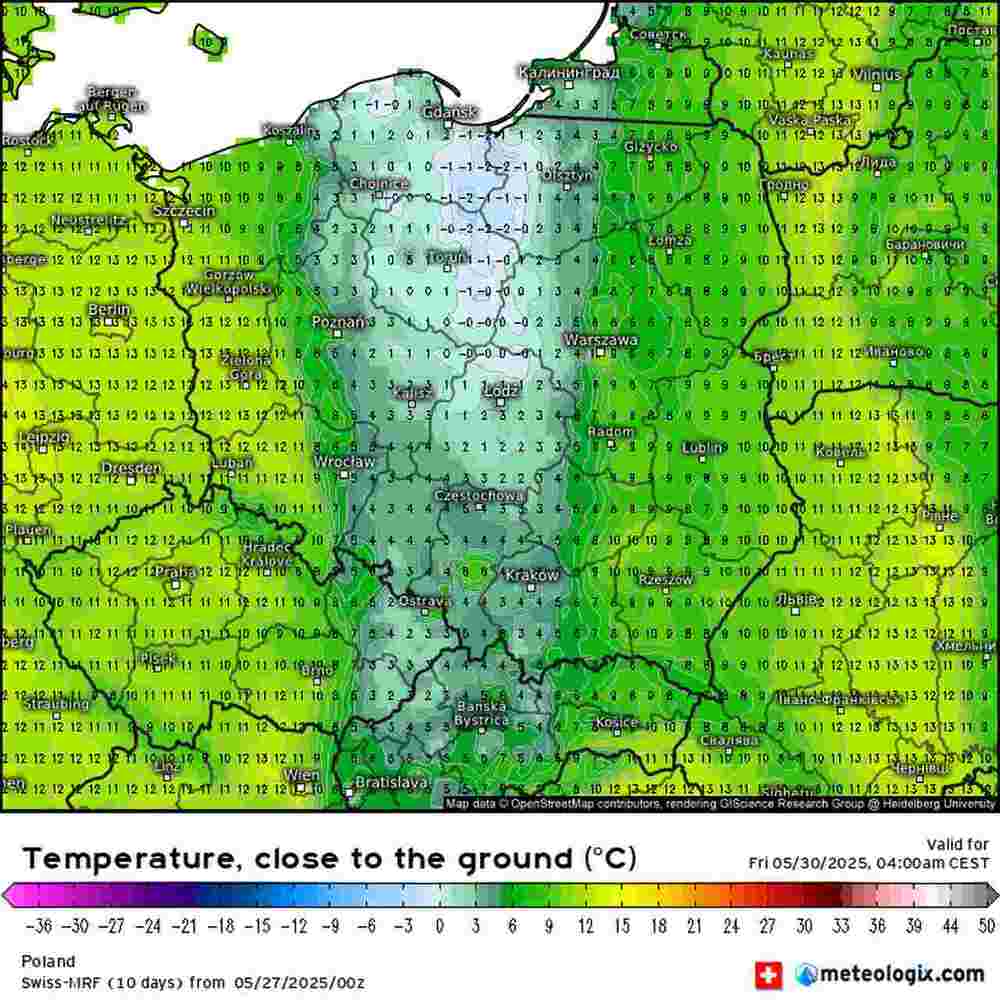 Wróci mróz i uszkodzi rośliny w środkowej Europie pod koniec maja 2025. Temperatura spadnie do -3 st. C.