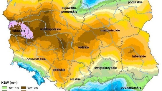 Około 1,5 mln ha jest zagrożonych suszą w Polsce