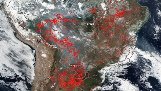Amazonia płonie, ale „Brazylia powinna uczyć inne kraje, jak chronić przyrodę”. Odrzucono propozycję międzynarodowej pomocy