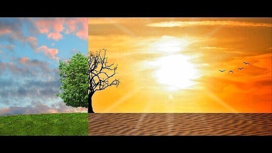 Parlament Europejski uchwalił rezolucję i ogłosił Stan Alarmu Klimatycznego 