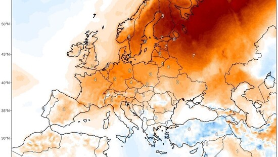 Pogoda długoterminowa na 16 dni. Kolejne dni stycznia w Polsce przyniosą mróz, śnieg, deszcz, silny wiatr i zimę, czy dalej łagodna pogoda