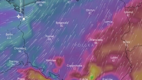 Pogoda. Za kilka dni luty przyniesie wichurę w Polsce. Wiatr przekroczy 100 km/h!