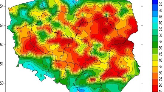 Pogoda. Wysokie ryzyko pożarów w lasach. Na polach zamiecie pyłowe i pogłębiająca się susza rolnicza. Kiedy spadnie deszcz?
