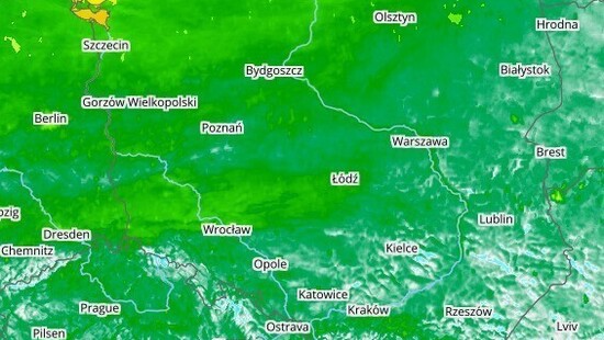 Pogoda. Zimni ogrodnicy z przymrozkami w Polsce. Prognoza temperatury na noc 12/13 maja 2020