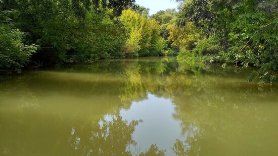Ukraińcy i Rumuni zanieczyszczają węgierskie rzeki. „To nie jest godne norm europejskich” - napisał węgierski prezydent