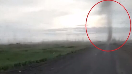 Plaga komarów na Kamczatce w Rosji. Komary tworzą gigantyczne „tornada owadów”
