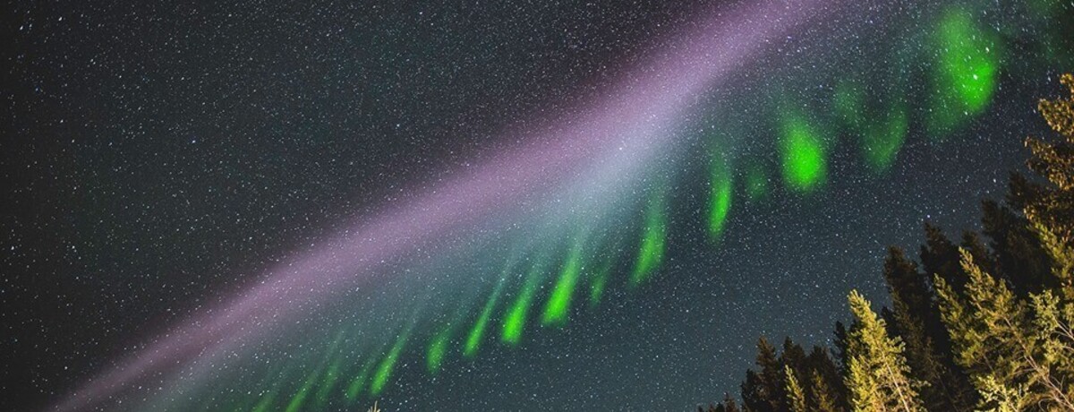 W Kanadzie zaobserwowano kuzyna zorzy polarnej - niezwykłe zjawisko „Steve”