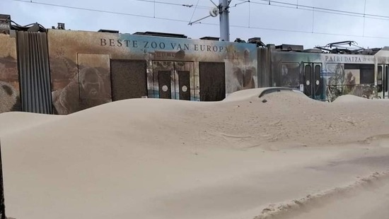 Silny sztorm Odette uderzył w Belgii. Piasek z plaży zasypał nadmorskie miasto
