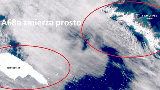 Góra lodowa A68a uderzy w Georgię Południową. Na wyspie możliwa katastrofa ekologiczna