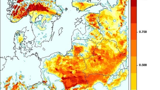 Pogoda. Prognoza na noc 16/17 grudnia 2020. Liczne mgły, lokalnie mżawka