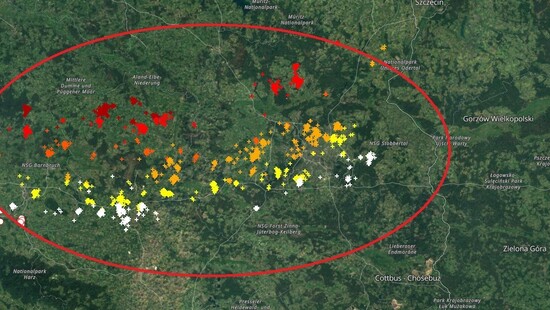 Burze śnieżne w Niemczech blisko Polski. Miejscami grzmi, intensywnie pada śnieg i silnie wieje. W nocy przejdą śnieżyce