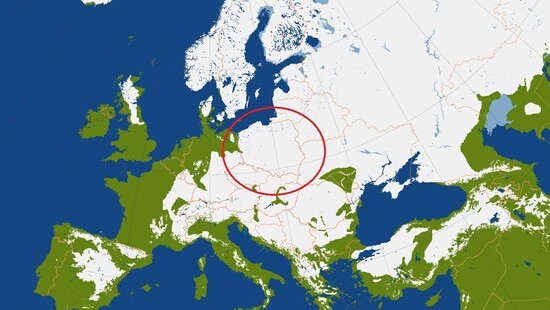 Przed odwilżą blisko 100 procent Polski pokryte śniegiem. To nie zdarza się często. Sprawdź, ile jest śniegu i gdzie jest najwięcej
