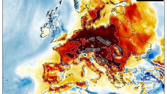 Prawdziwa wiosna przyjdzie do Polski. Temperatura przekroczy 20 stopni. Zobacz, kiedy będzie najcieplej