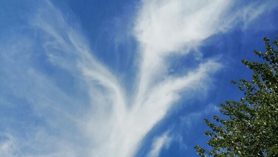 W Dniu Matki nad Polską chmura przybrała kształt „tulipana”. Fenomenalne zjawisko było widoczne w Łańcucie na Podkarpaciu