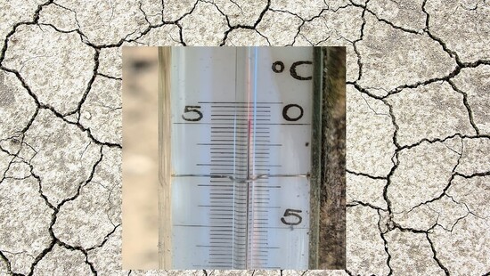Nasila się upał w Polsce. Temperatura gruntu przekroczyła 50 stopni, powietrza 34 stopnie
