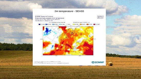 Pogoda długoterminowa na lipiec 2021. Gorąco i upalnie, częste burze z gradem i ulewnym deszczem. Najlepsza pogoda nad morzem