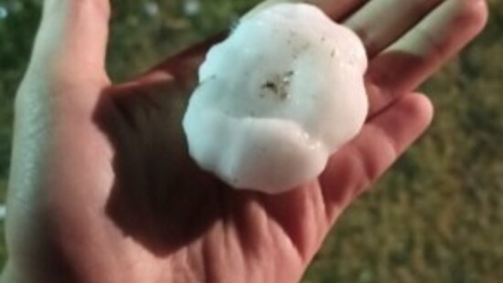 Polskie lasy coraz częściej niszczą gradobicia. Las skutki opadów gradu odczuwa przez wiele lat