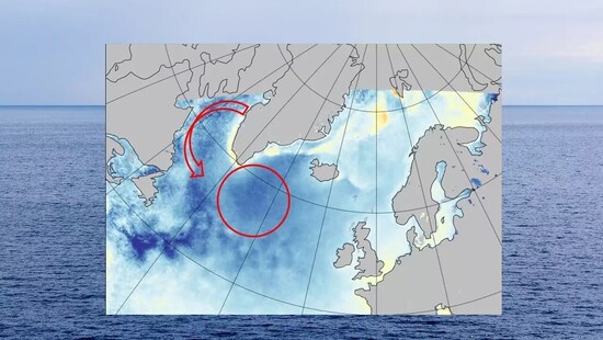 Północny Atlantyk coraz chłodniejszy. To nieliczne miejsce opierające się ociepleniu klimatu