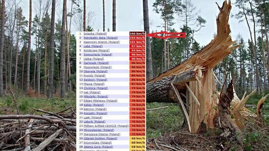 Wichura w Polsce spowodowała zniszczenia. Wiatr przekroczył 165 km/h. Ponad 1420 interwencji strażaków