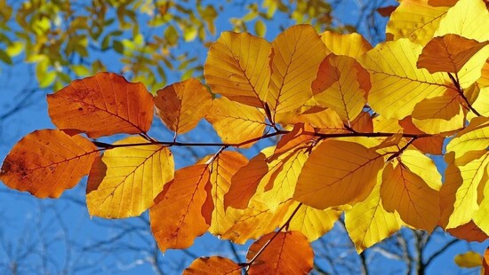 Pogoda na 8 października 2021. Słoneczny wyż nad Polską. W nocy coraz większe przymrozki