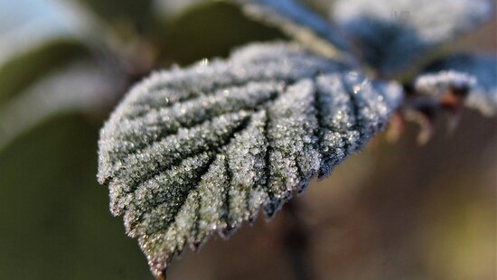Temperatura w Polsce spadła do blisko -10 stopni. Przymrozki szybko nie ustąpią