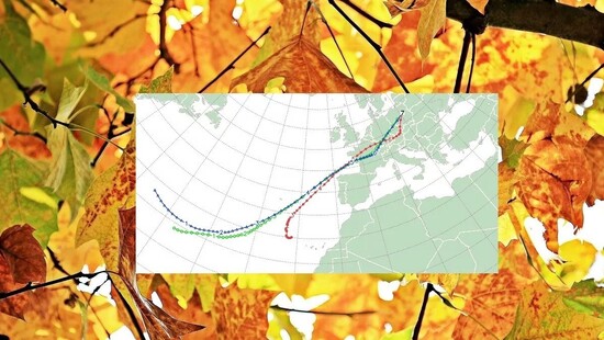 Duże ocieplenie w Polsce. Temperatura przekroczy 20 stopni. Wiemy, kiedy wrócą przymrozki
