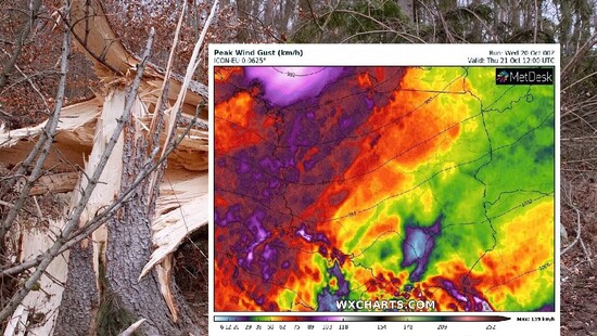 Wiatr w Polsce spowoduje zniszczenia. Najnowsza prognoza wichury. Możliwe burze