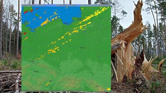 Wichura w Polsce. Wiatr osiągnął 158 km/h. Ofiary śmiertelne, zamiecie pyłowe i tysiące interwencji strażaków