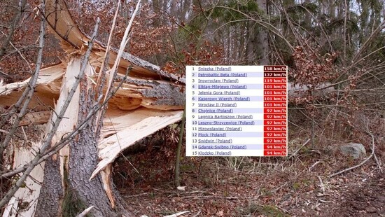 Tragiczna wichura w Polsce. 4 osoby zginęły, wielu rannych. Wiatr o sile huraganu. Kiedy wichura ustąpi?