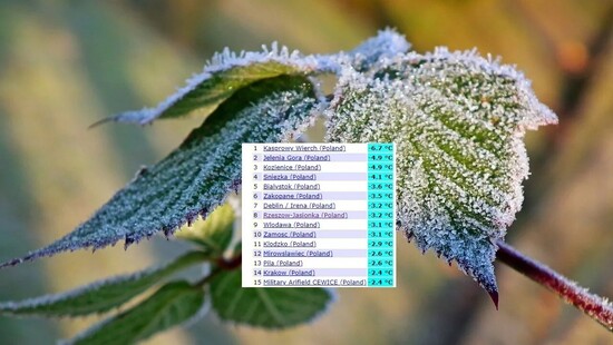 Silne przymrozki w Polsce. Temperatura spadła poniżej -11 stopni. Wiemy, kiedy będzie cieplej