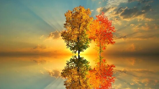 Pogoda na 29 października 2021. Piękny słoneczny i ciepły jesienny dzień w Polsce