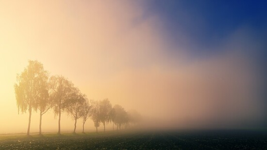 W nocy 12/13 listopada możliwe gęste mgły w Polsce. Wiemy, gdzie wystąpią