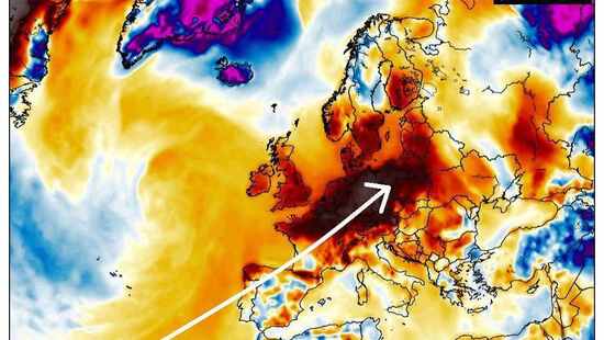 Pogoda na Sylwestra szokuje. Temperatura w Polsce przekroczy 12 stopni. Miejscami spadnie deszcz