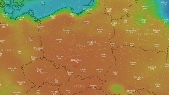 Szokująco niska wilgotność powietrza w Polsce. Trwa susza atmosferyczna. Liczne pożary traw i lasów