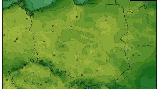 Pogoda na 25 marca 2022. Nadal bez opadów w Polsce. Utrzyma się wiosenna temperatura