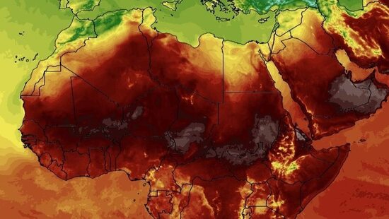 Potężna fala upałów na południu. Temperatura wzrosła do 47 stopni. Upał doskwiera milionom ludzi