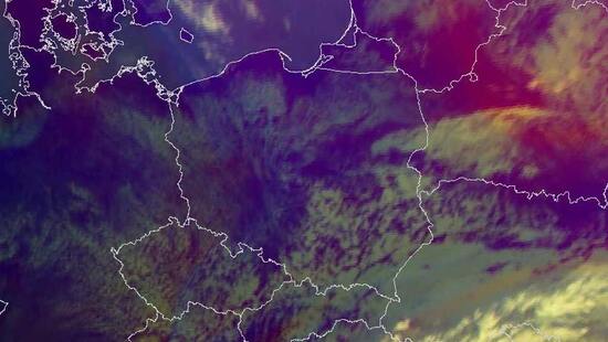  Przymrozki w Polsce nadal możliwe. Rolnicy i sadownicy będą mieć straty. Temperatura spadnie do -5 stopni
