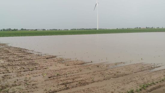 Duże straty po ulewach w Polsce. Spadło ponad 100 litrów wody. Rolnicy załamują ręce