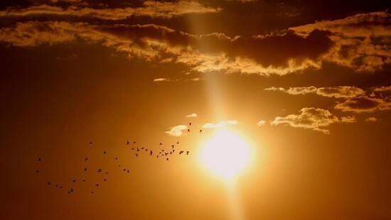 Padł rekord temperatury na zachodzie Polski. Upał w czerwcu wyśrubował piekielny żar. Rekord przetrwał tylko 3 lata