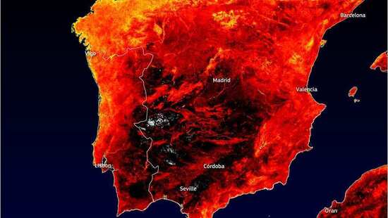 Padł tegoroczny rekord temperatury. Fala upałów rusza w głąb Europy. Temperatura gruntu przekracza 60 stopni