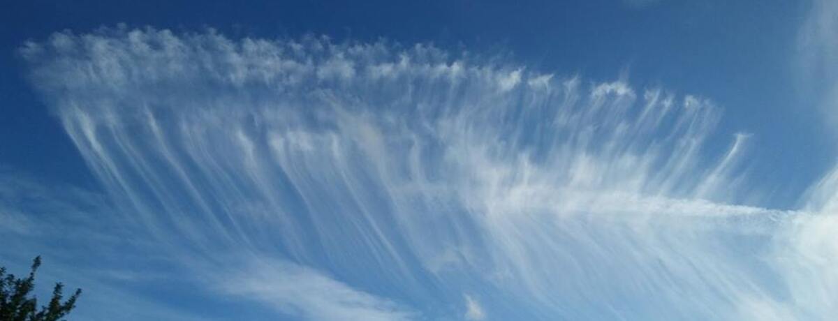 Szkielet ryby na niebie – czyli Cirrus vertebratus