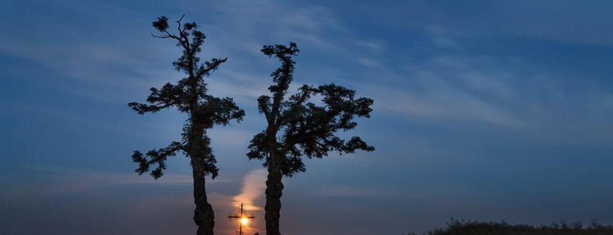 Księżyc między akacjami – czyli wytrwałość fotografa