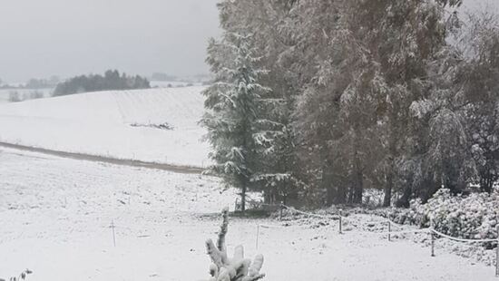 Zima pojawiła się w Polsce. Pierwszy śnieg spadł na nizinach. Biało w tych regionach