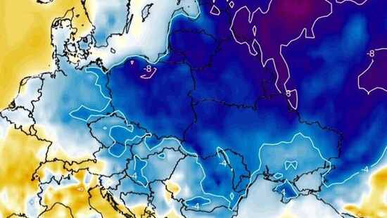 Wróci i osiądzie silny mróz. Temperatura spadnie do -8 stopni. Mroźna fala uszkodzi rośliny w tych regionach