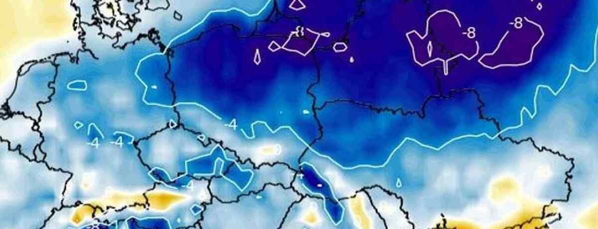 Silny mróz uszkodzi rośliny. Temperatura spadnie do -8 stopni. W tych regionach będzie najzimniej