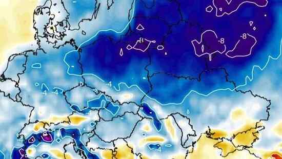 Silny mróz uszkodzi rośliny. Temperatura spadnie do -8 stopni. W tych regionach będzie najzimniej