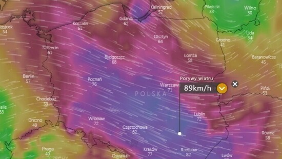 Najnowsza prognoza wichury Heinz. Wiatr osiągnie 70-100 km/h