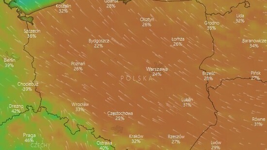 Czujesz dziś drapanie w gardle? Wiemy jaki czynnik pogodowy za to odpowiada