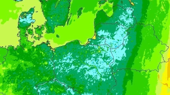 Najbliższej nocy 07/08.05 możliwe przymrozki na sporym obszarze Polski